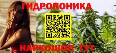 таблы Гатчина
