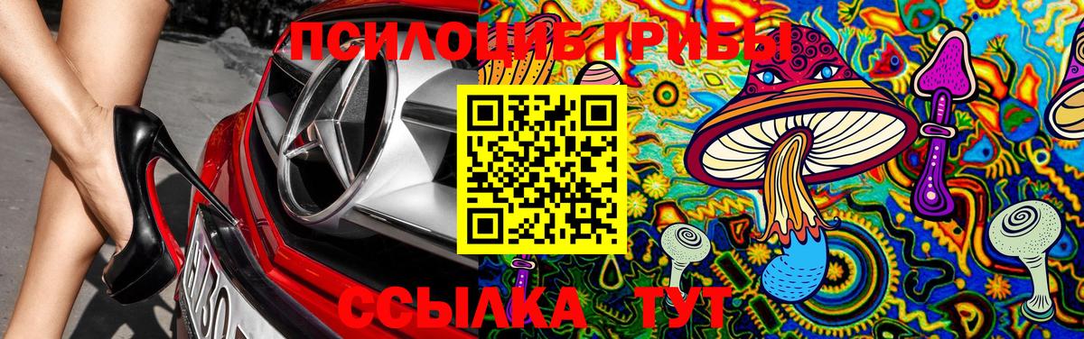 Псилоцибиновые грибы мухоморы  Псилоцибиновые грибы Magic Shrooms  Вход с VPN  Кондопога 